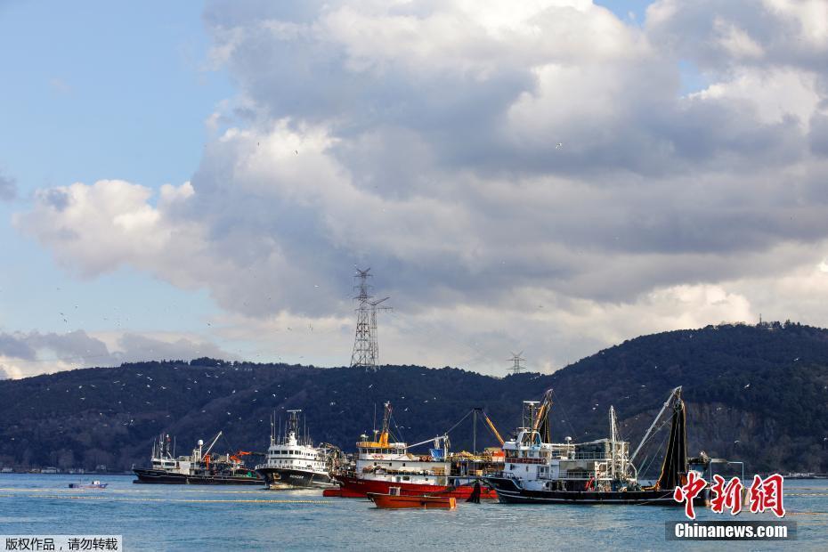 因油輪發(fā)生故障 土耳其博斯普魯斯海峽航運暫停