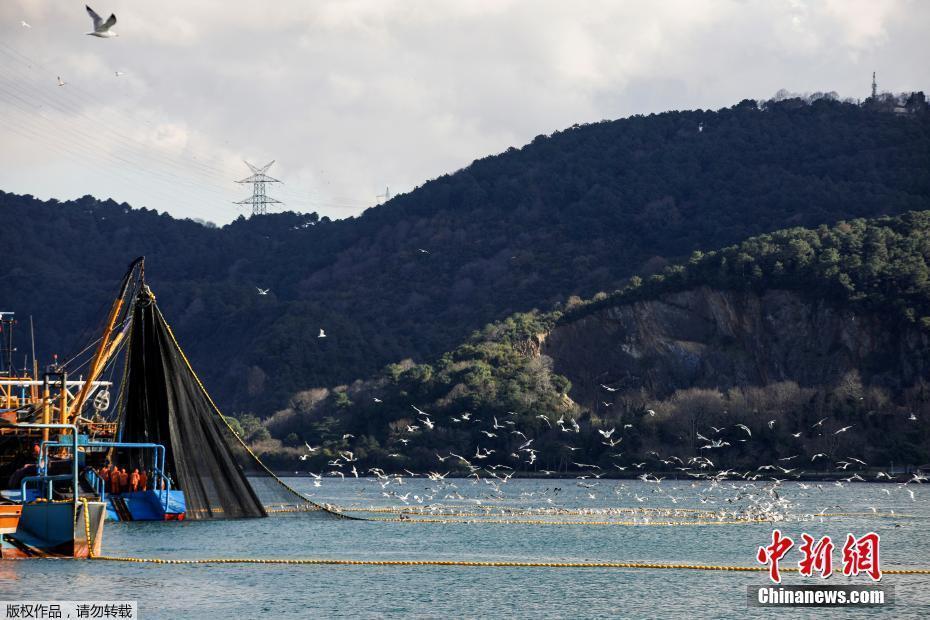 因油輪發(fā)生故障 土耳其博斯普魯斯海峽航運(yùn)暫停