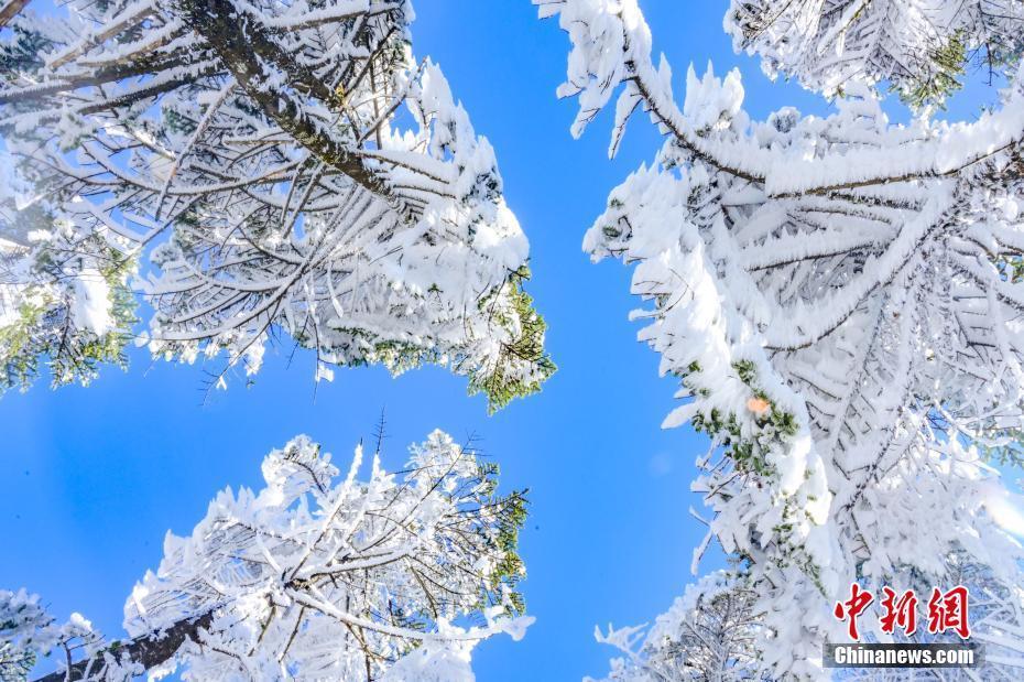 云南轿子雪山银装素裹如童话世界