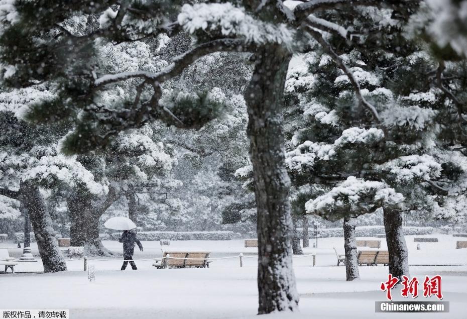 日本首都圈普降暴雪 東京都23區(qū)發(fā)布暴雪警報