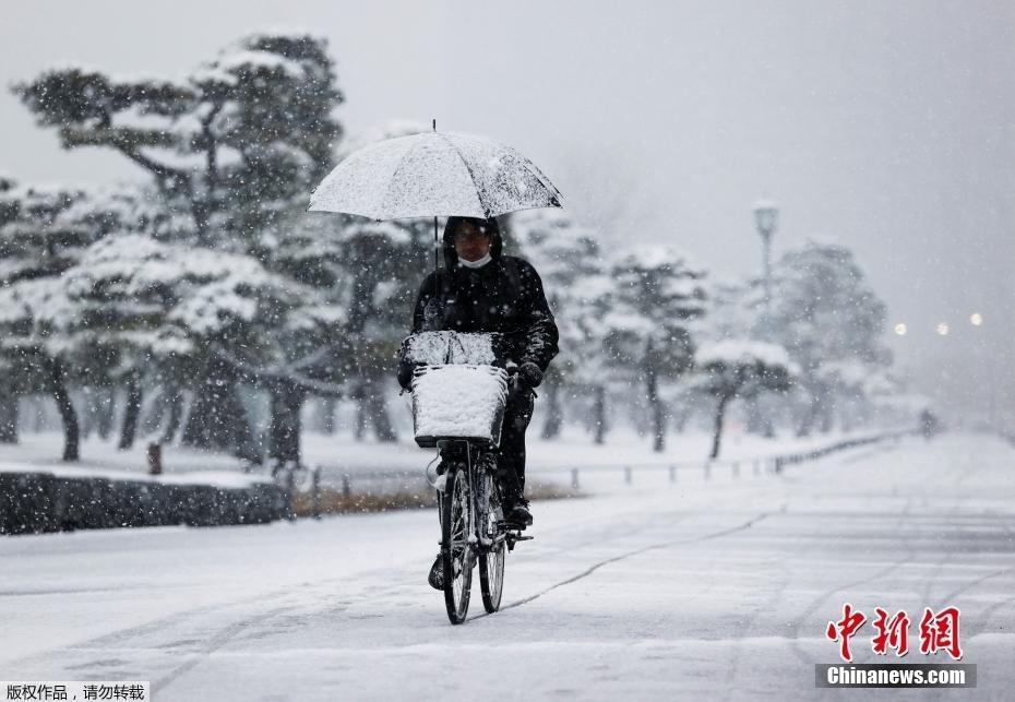 日本首都圈普降暴雪 東京都23區(qū)發(fā)布暴雪警報(bào)