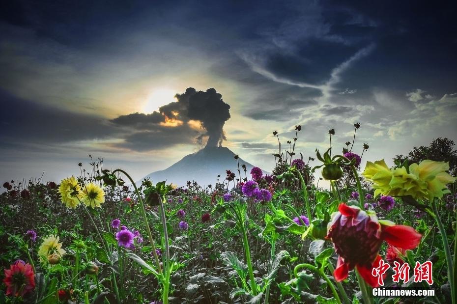 【圖刊】火山噴發(fā)“名場面” 危險與震撼并存