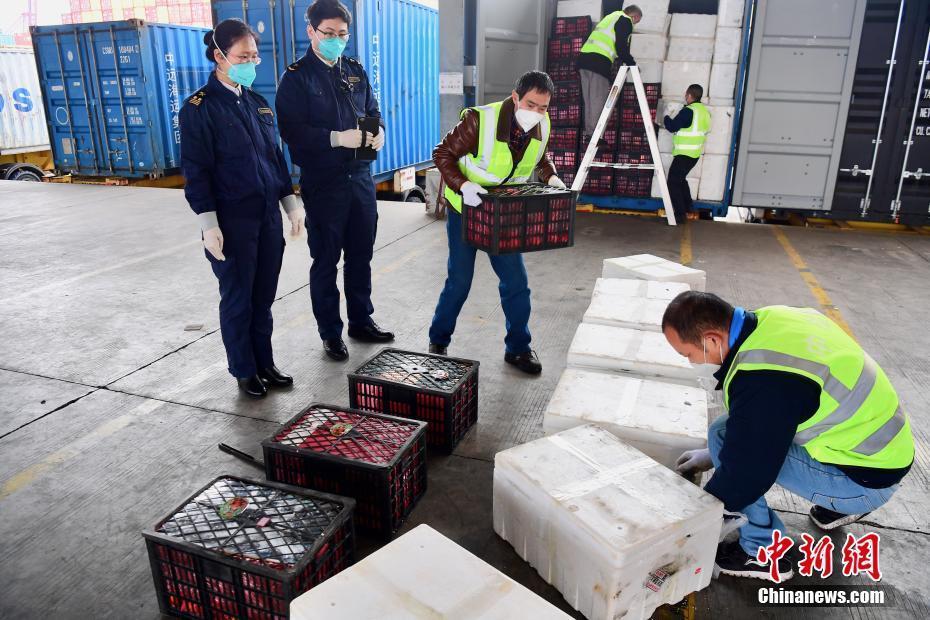 深圳開(kāi)通“海上快線” 全力保障香港生活物資