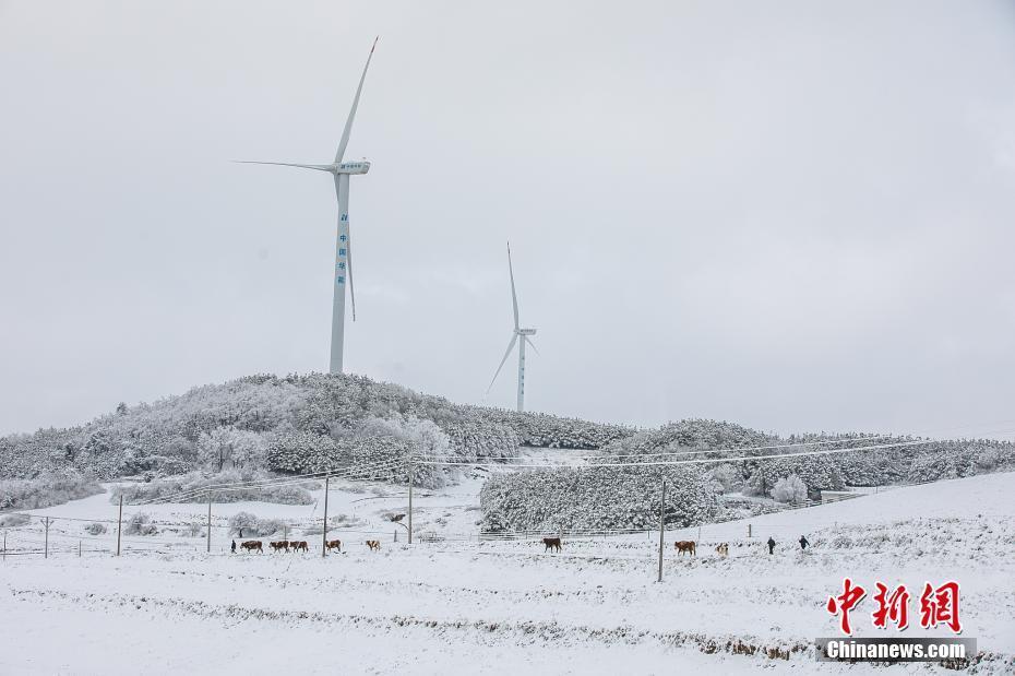 雪后山村“披白紗” 宛如冰雪童話世界