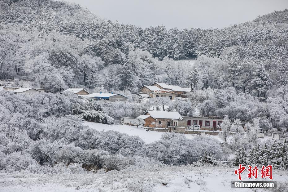 雪后山村“披白紗” 宛如冰雪童話世界