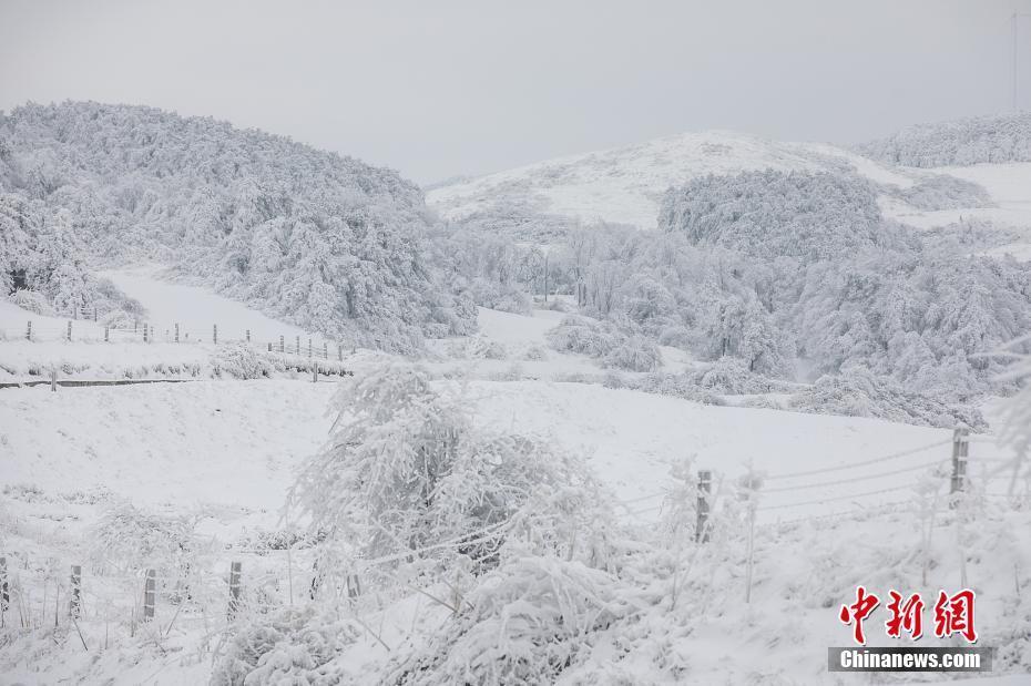 雪后山村“披白紗” 宛如冰雪童話世界