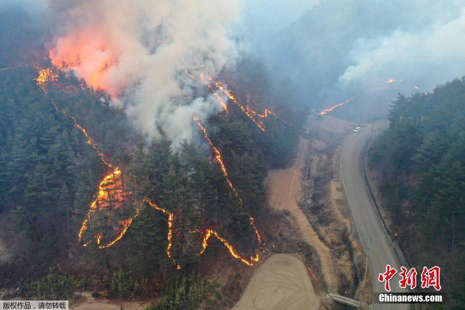韩国大规模森林大火持续