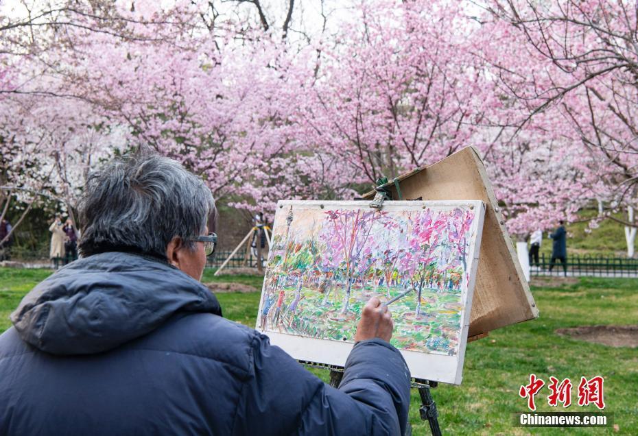 北京玉淵潭公園春和景明引游人流連忘返