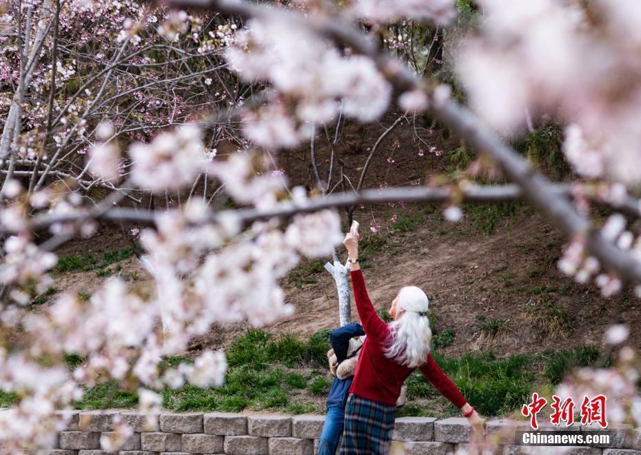 北京玉淵潭公園春和景明引游人流連忘返