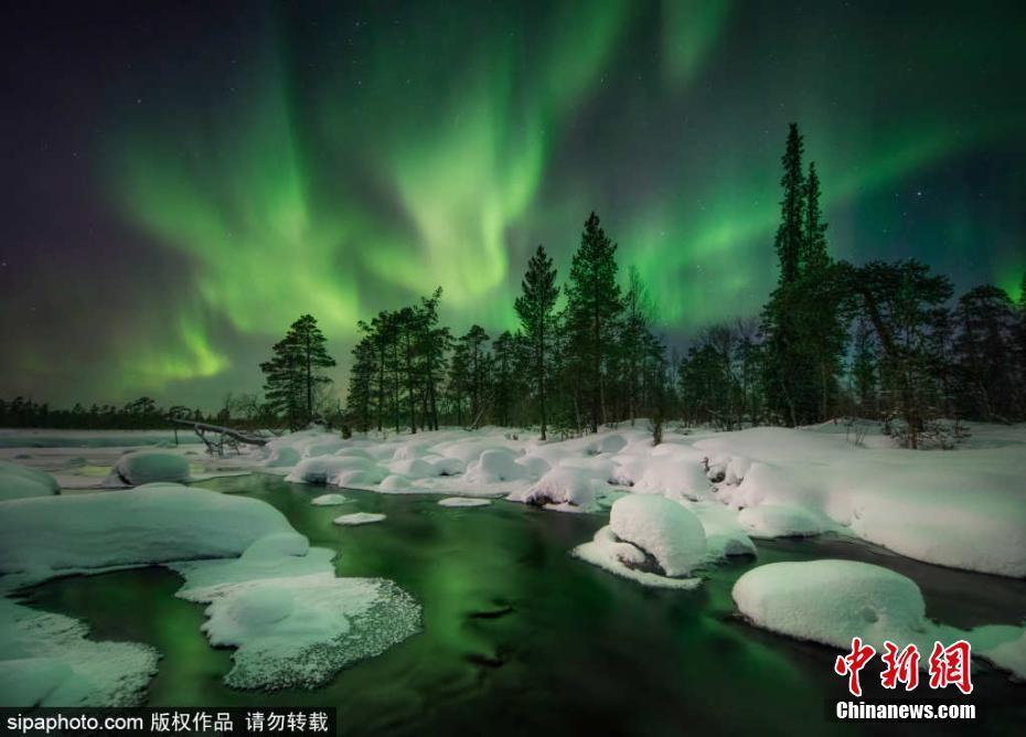 俄羅斯摩爾曼斯克現“雪樹極光”奇景 宛如神話世界