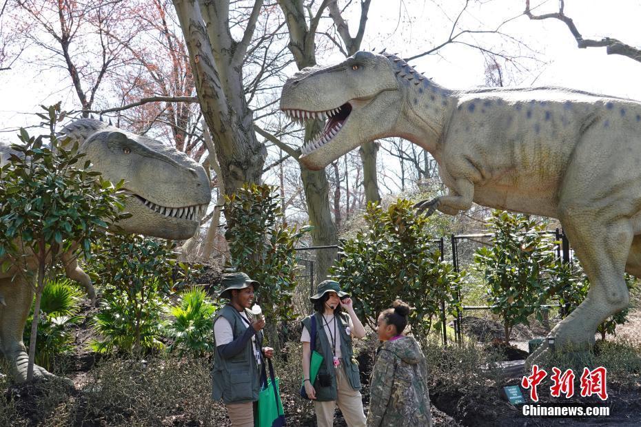 紐約布朗克斯動(dòng)物園恐龍?zhí)卣箷r(shí)隔三年回歸