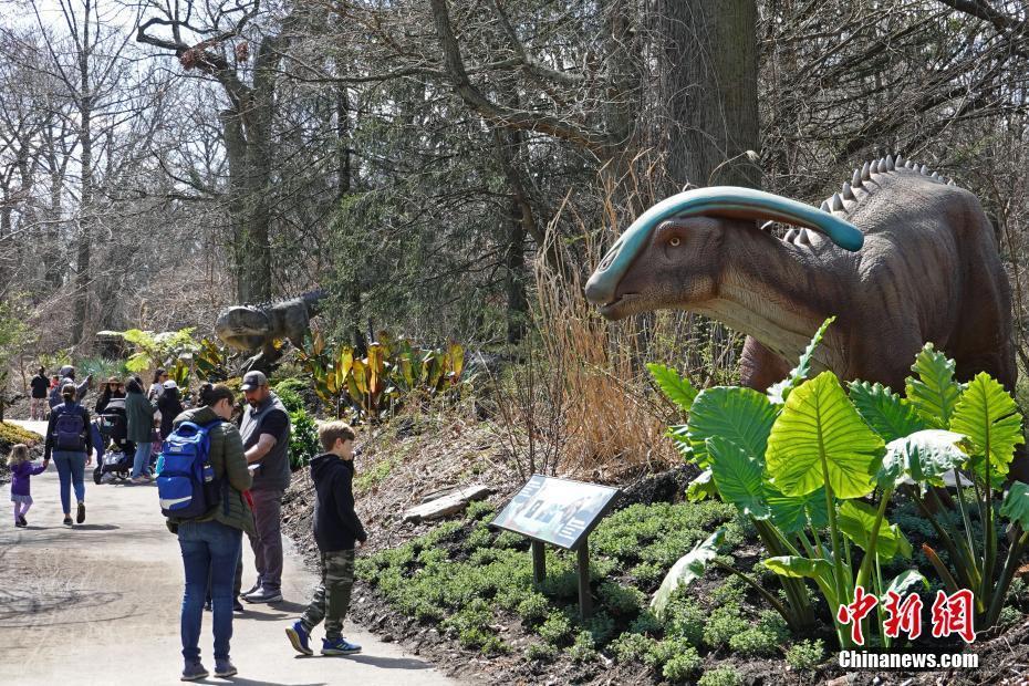 紐約布朗克斯動(dòng)物園恐龍?zhí)卣箷r(shí)隔三年回歸