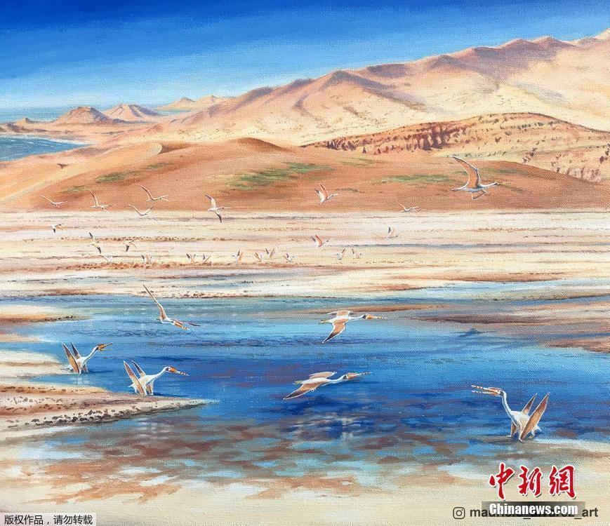 智利科學家發現翼龍殘骸墓地：距今1億多年歷史