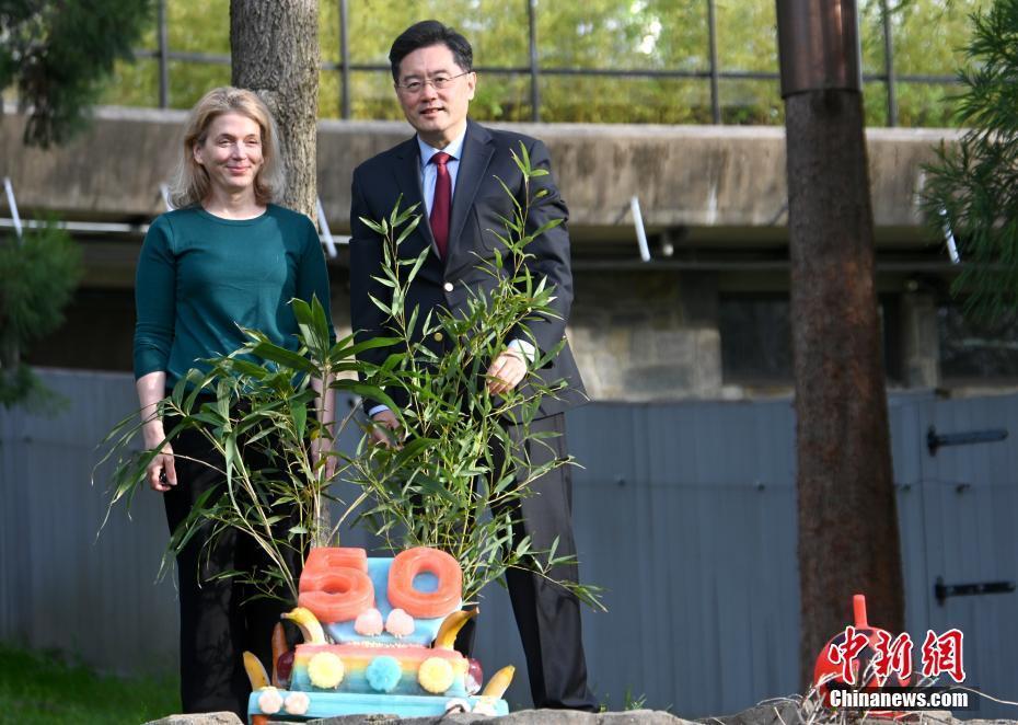 美國國家動(dòng)物園慶祝大熊貓抵美50周年