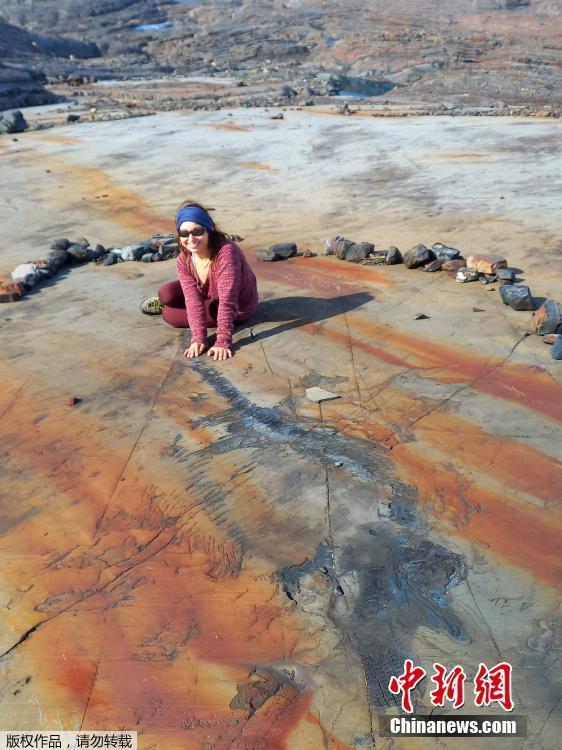 科学家在智利廷德尔冰川发现4米长鱼龙化石