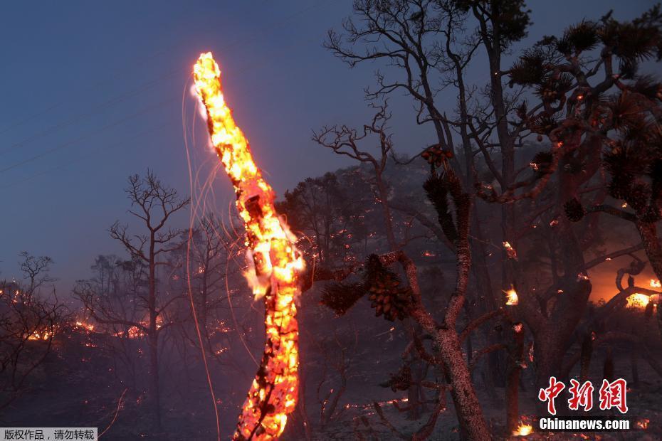 美国加州山火爆发 火光映红夜空