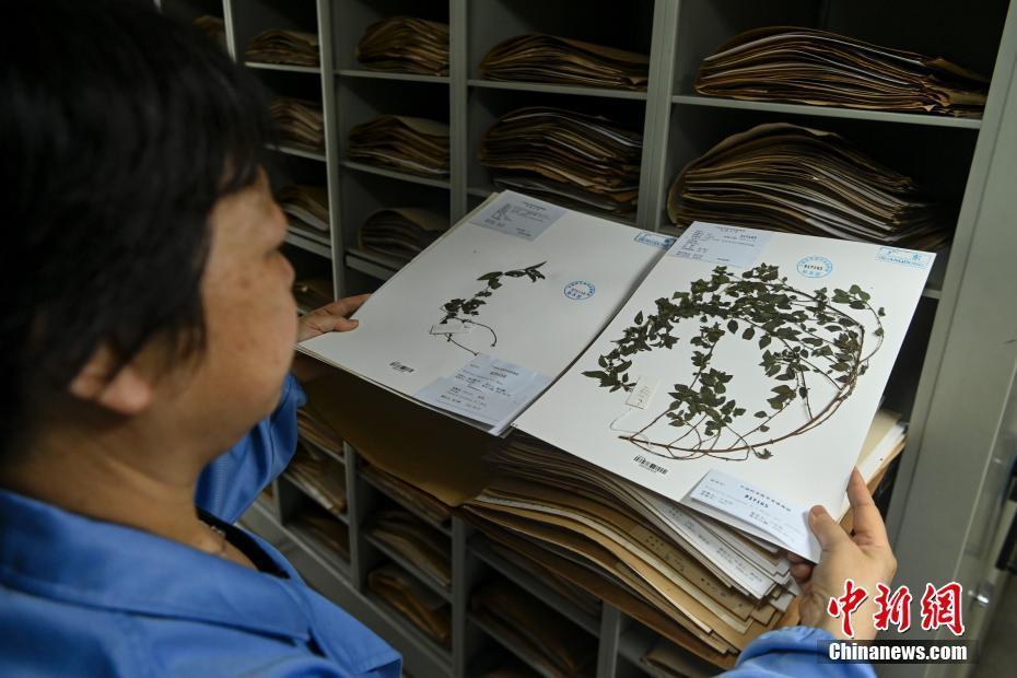 【圖刊】探訪中國科學院華南植物園