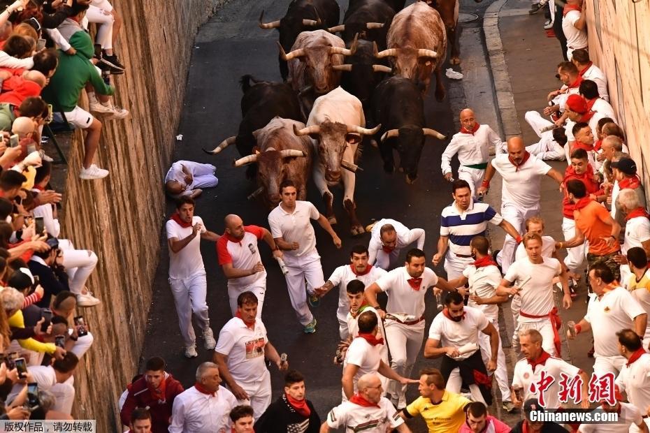 西班牙奔牛节狂欢持续 街巷上演“人牛追逐”