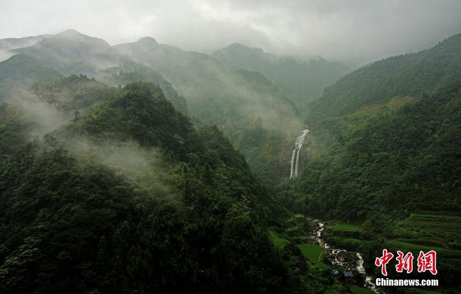探访广西元宝山国家级自然保护区