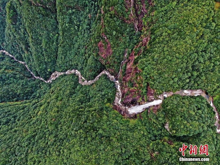探访广西元宝山国家级自然保护区
