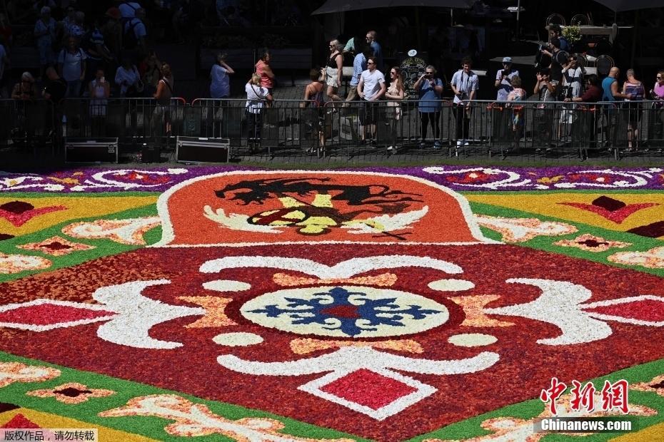 打造鮮花盛宴 比利時民眾“編織”巨型花毯