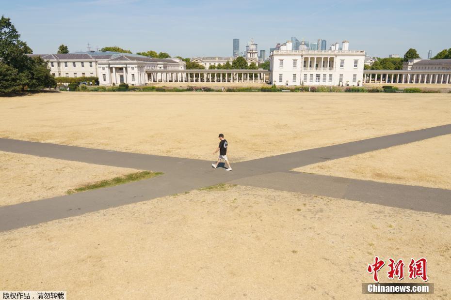 英国高温干旱持续 伦敦公园大面积草坪干枯