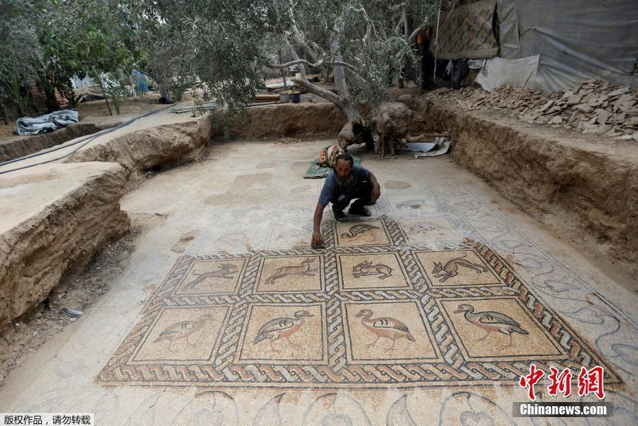 加沙地区农场中发现古代马赛克图画 可追溯到拜占庭时代