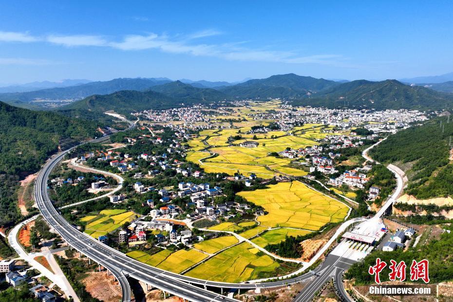 福建上杭“豐”景如畫 梯田美不勝收