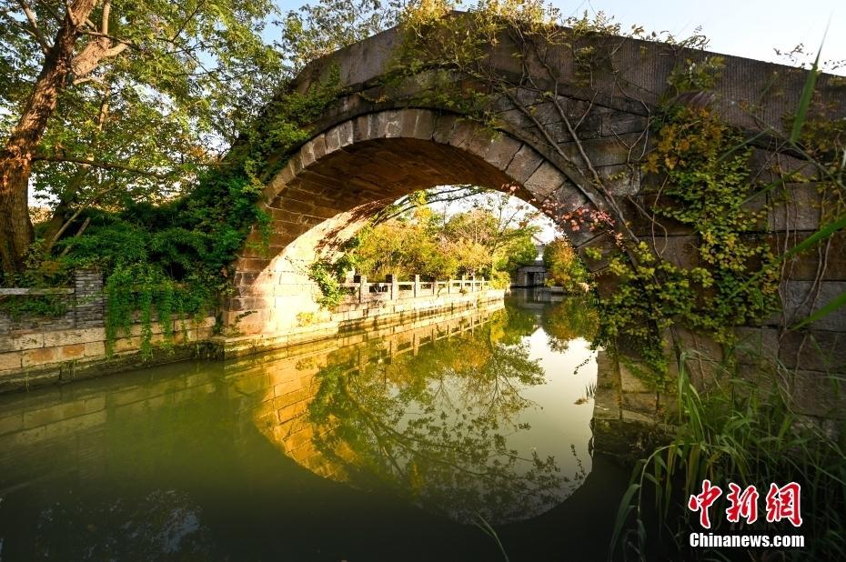 【圖刊】藏在古建筑里的秋意