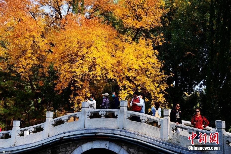 【圖刊】藏在古建筑里的秋意