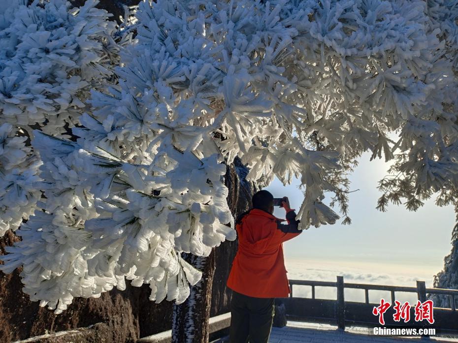 安徽黃山霧凇云海齊上陣