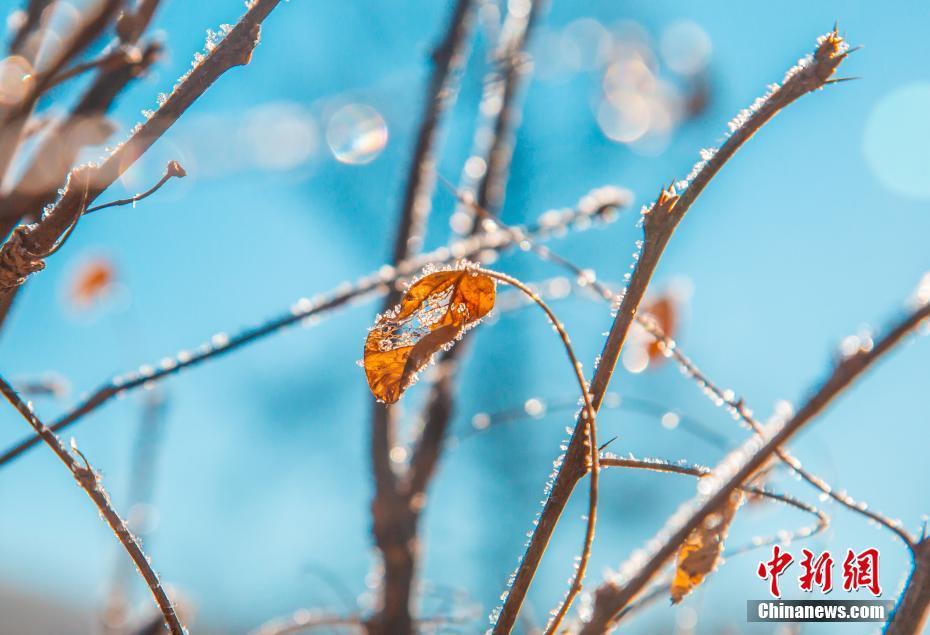 內(nèi)蒙古大興安嶺的冬日美景 彷如夢幻般冰雪世界