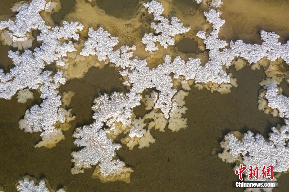 山西运城冬日千年盐湖绽放硝花