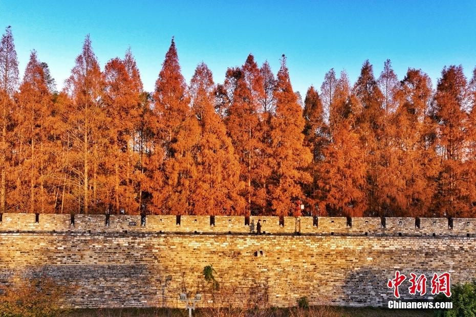 航拍南京玄武湖冬日壯觀景致