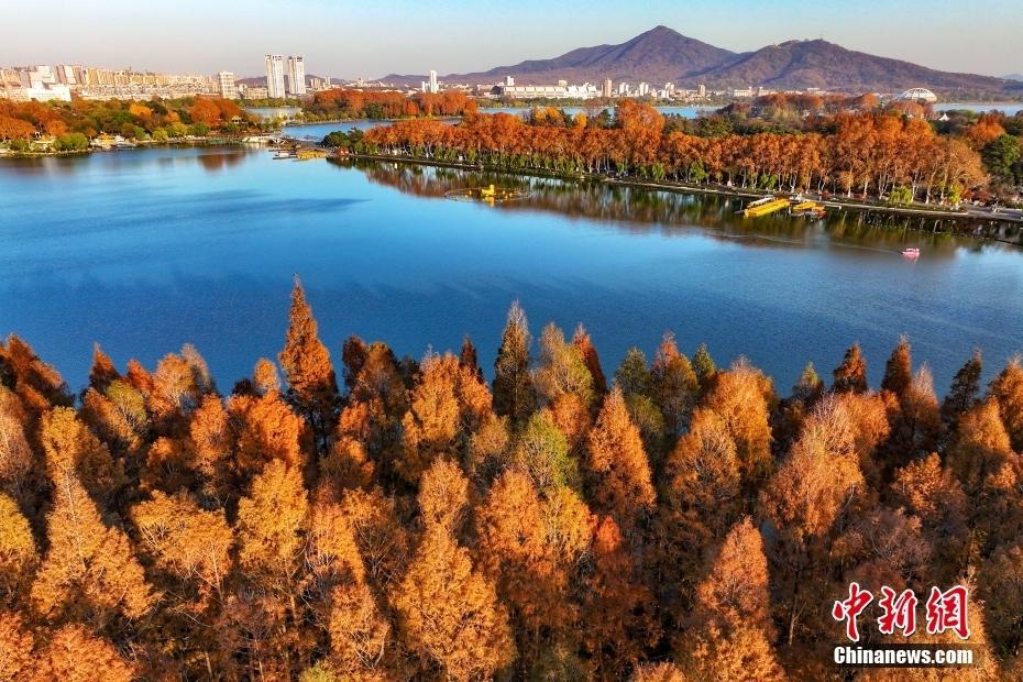 航拍南京玄武湖冬日壯觀景致