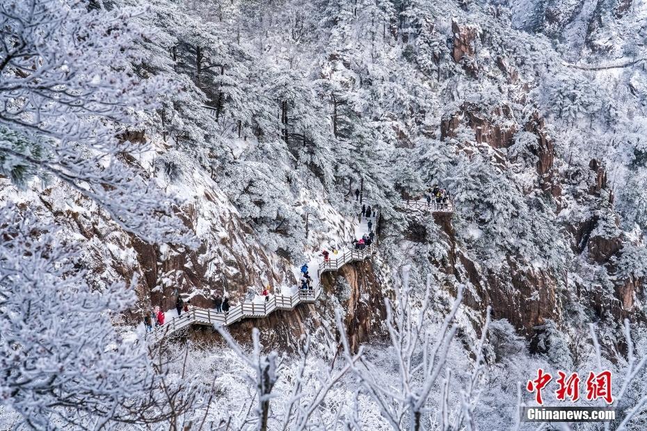 雪后黃山現(xiàn)霧凇美景 玉樹瓊枝宛若童話世界