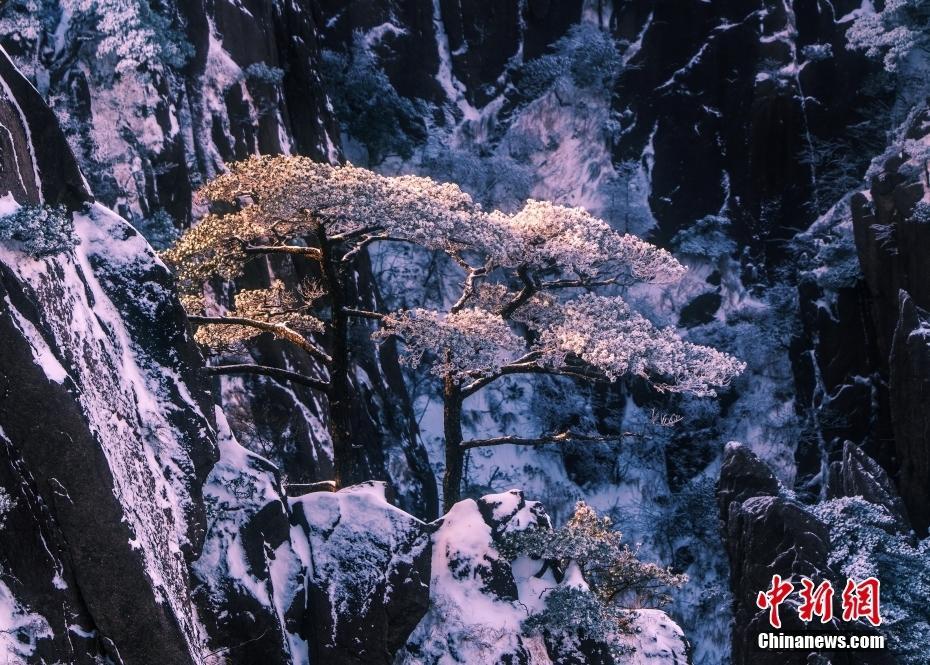 雪后黃山現(xiàn)霧凇美景 玉樹瓊枝宛若童話世界