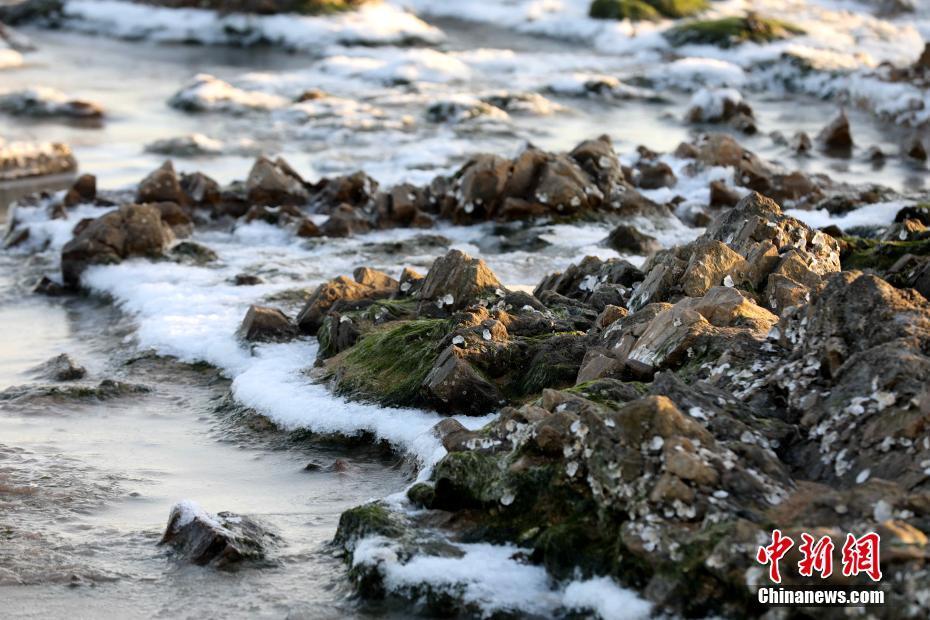 解鎖一道冬日美景 山東日照海濱出現(xiàn)大范圍海冰