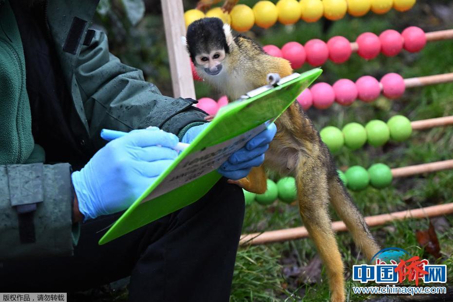 動物大盤點 倫敦動物園開展年度“人口”普查