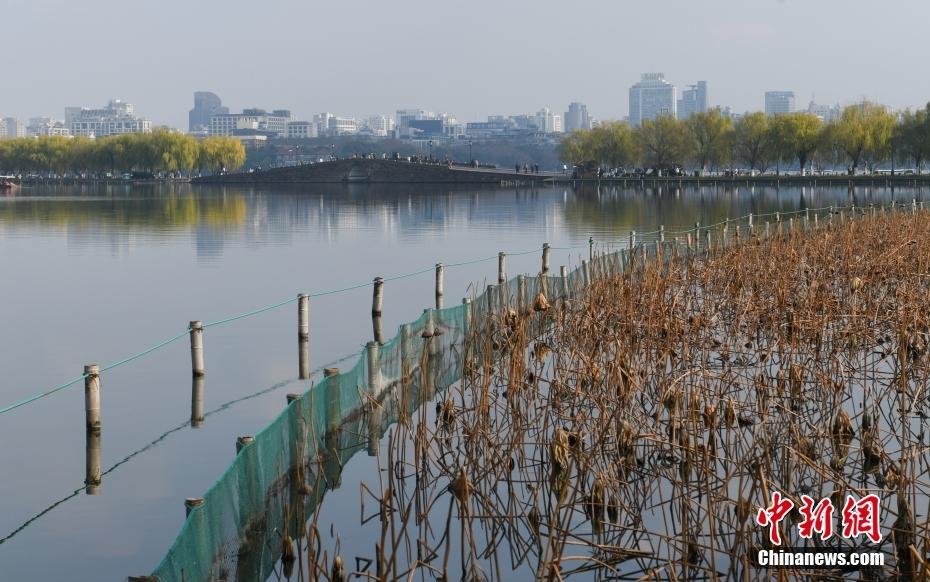 杭州西湖“山色空蒙”冬景迷人