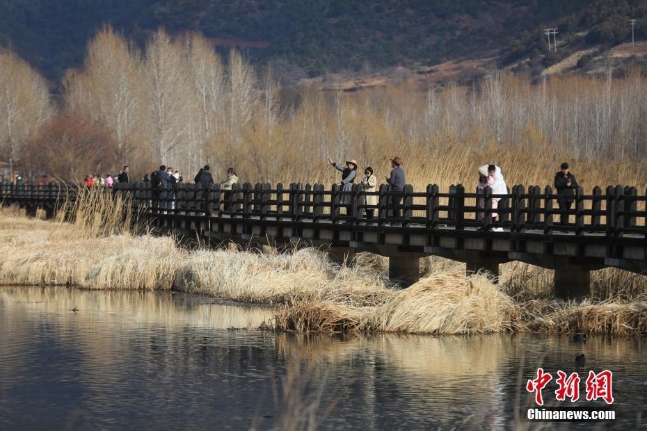 瀘沽湖景色如畫引游人