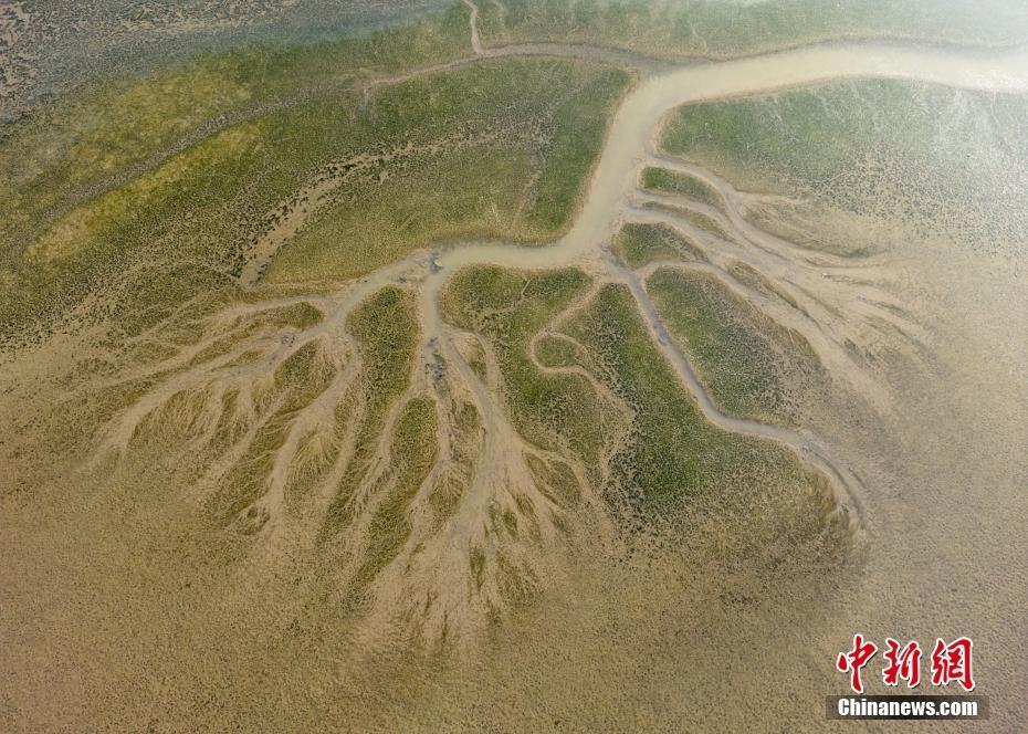 鄱陽湖水位持續(xù)走低 溝汊蜿蜒現(xiàn)“大地之樹”