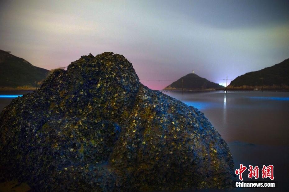 福建平潭北部海域出現(xiàn)“藍(lán)眼淚”景觀