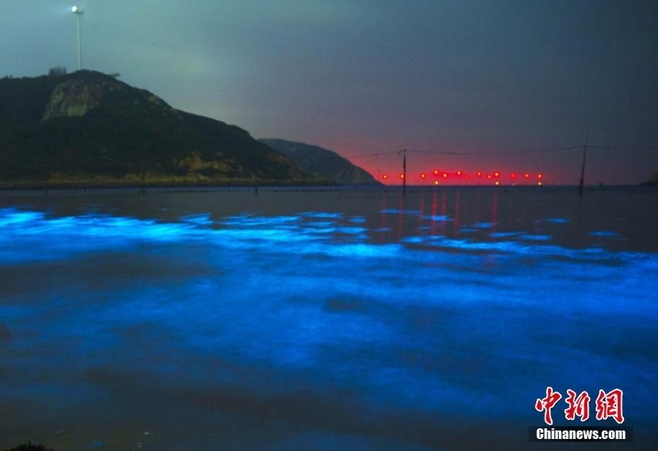 福建平潭北部海域出現“藍眼淚”景觀