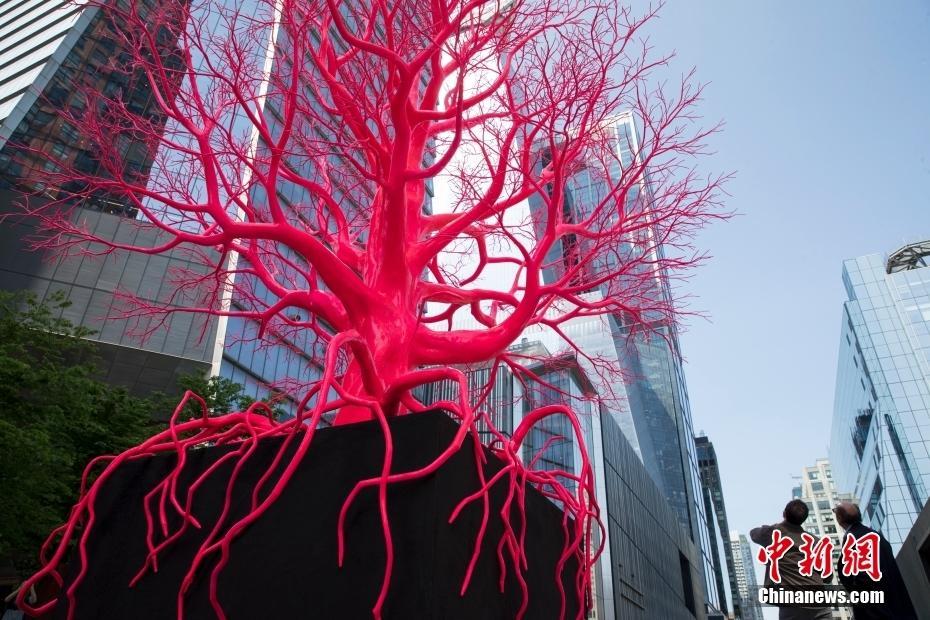 紐約曼哈頓街區粉色老樹藝術品吸引民眾觀賞