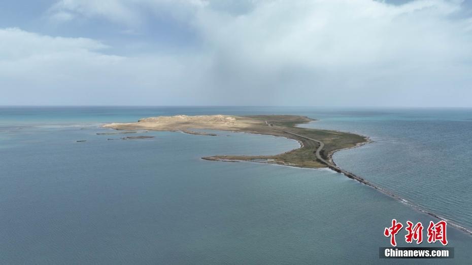 航拍初夏青海湖鸟岛国际重要湿地