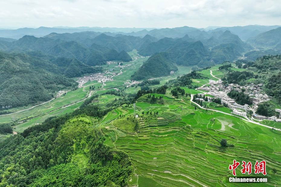 航拍貴州貴定夏日梯田阡陌縱橫