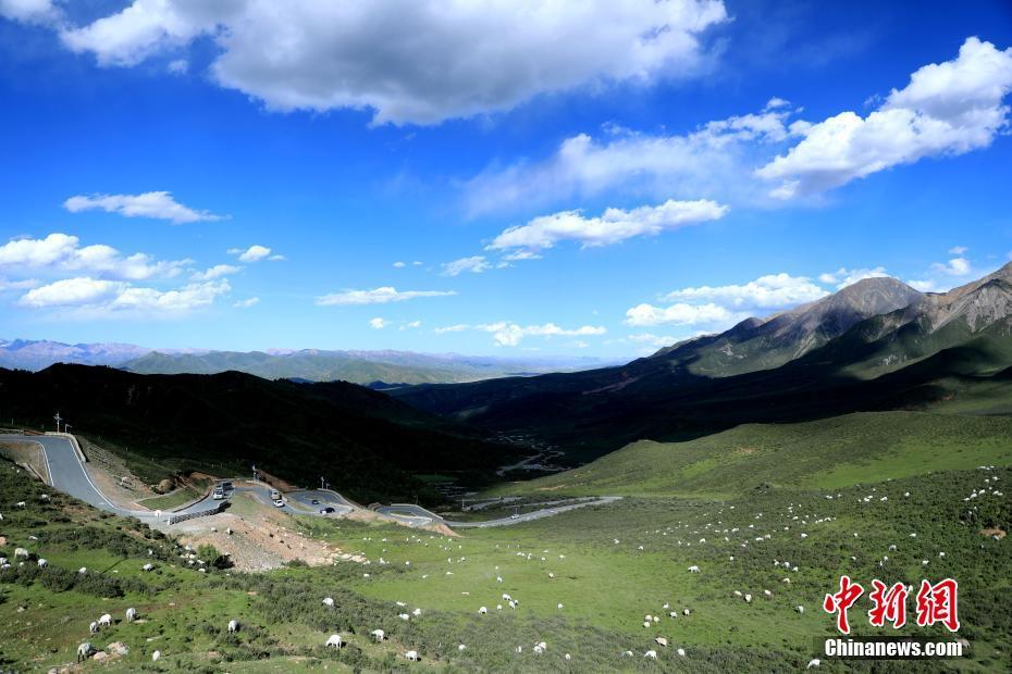 祁連山支脈阿咪東索山氣勢(shì)磅礴 山野間牛羊成群