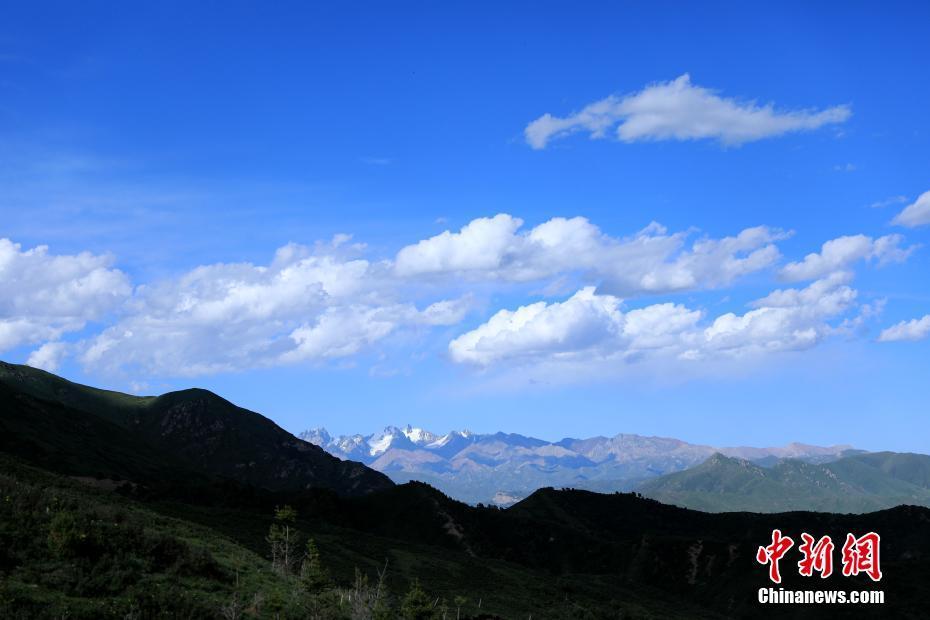 祁連山支脈阿咪東索山氣勢(shì)磅礴 山野間牛羊成群