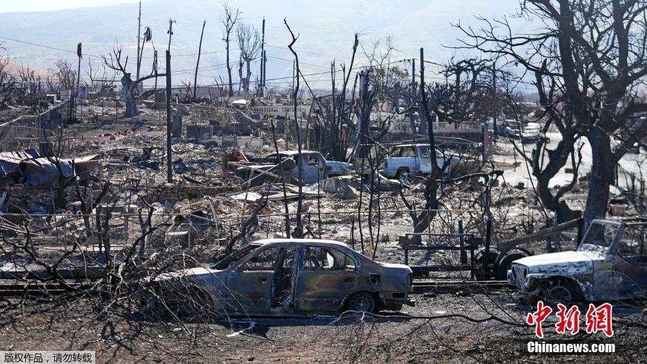 美國夏威夷野火致近百人遇難 度假小鎮(zhèn)“不復(fù)存在”